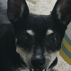 Meet your Posher, Lorili